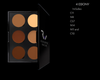 Ryan Wayne Dark 6-Well Contour and Highlight Powder Palette